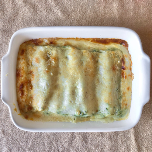 Cannelloni ripieni di spinaci